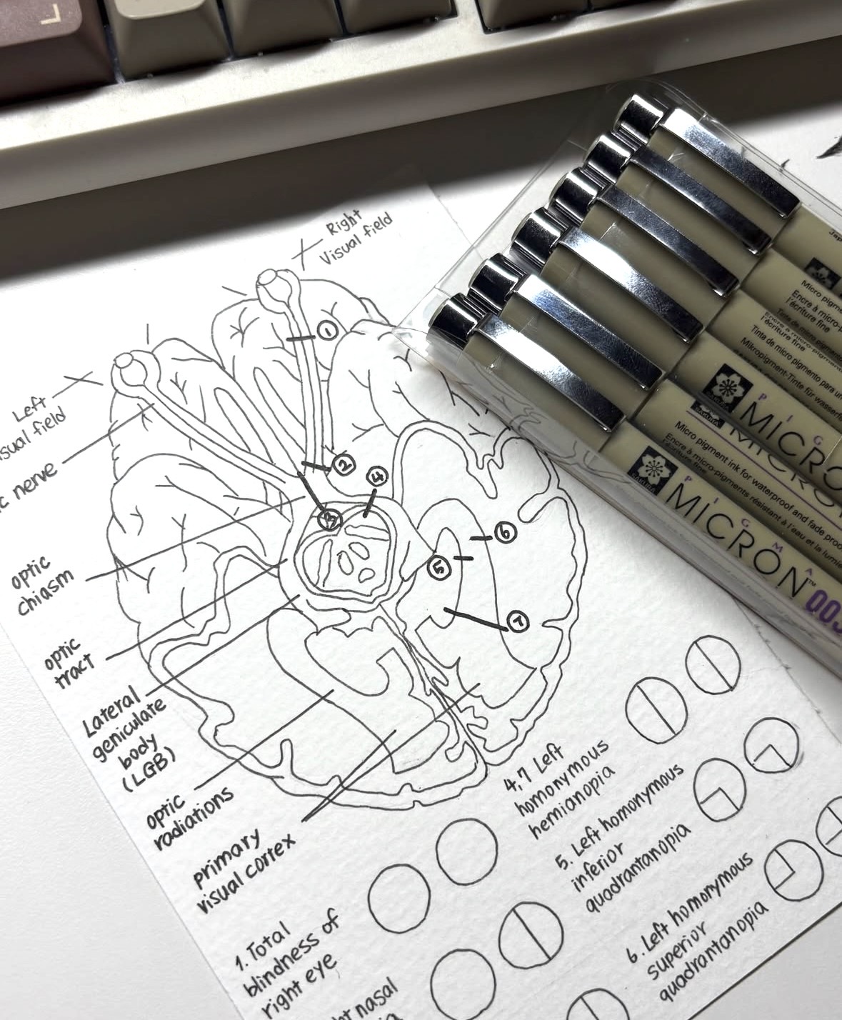 Eye sketch
